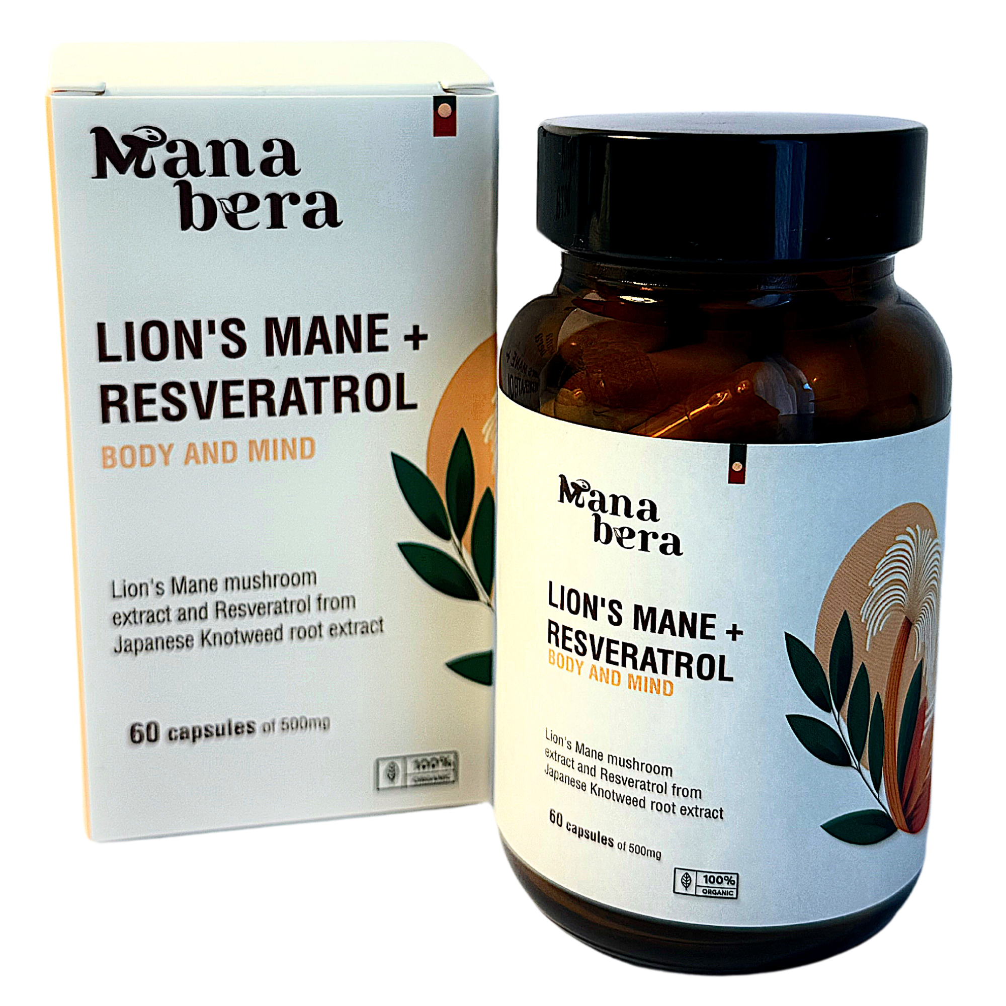 Lion's Mane & Resveratrol for Focus, Mood, and Longevity