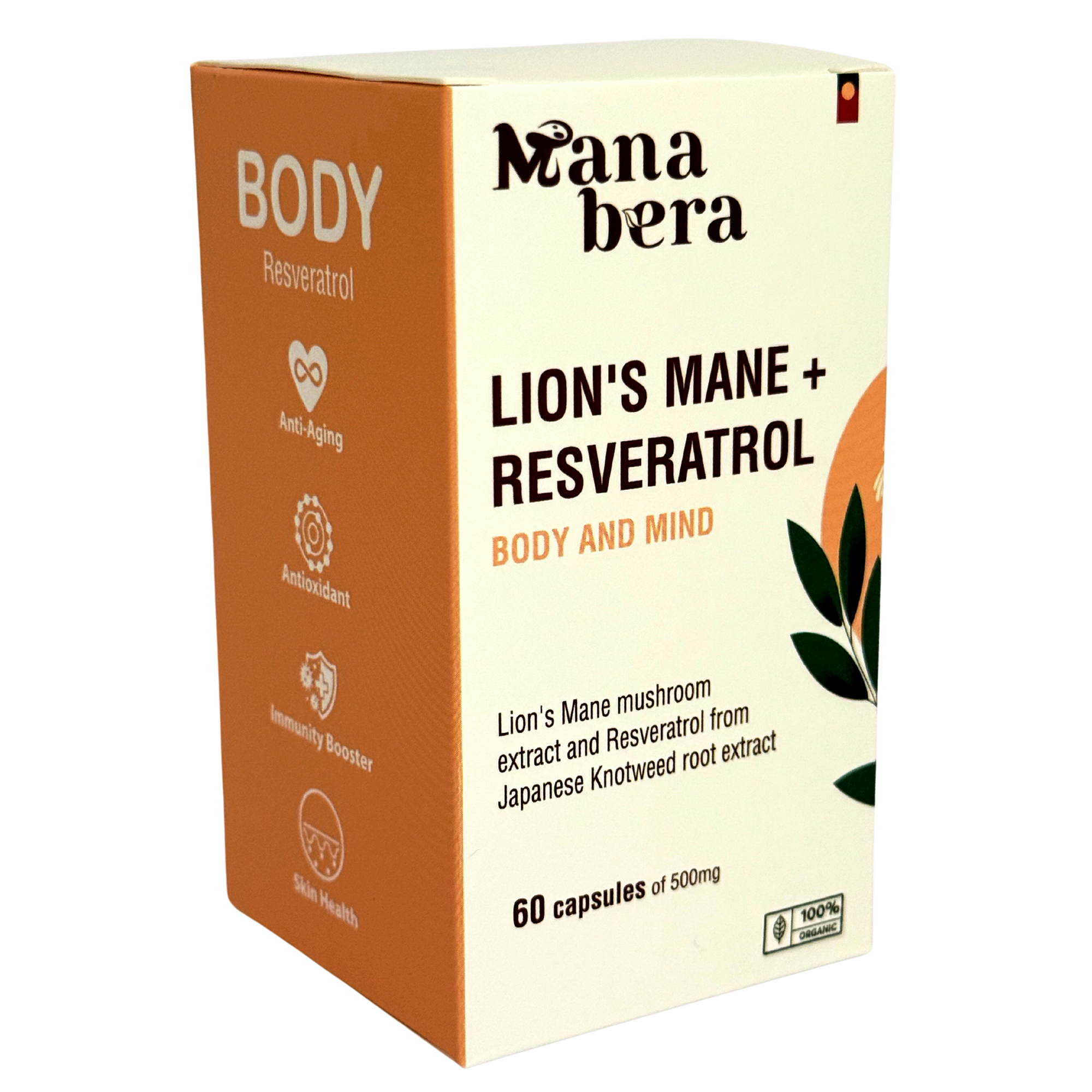 Lion's Mane & Resveratrol for Focus, Mood, and Longevity