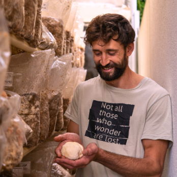 Lion's Mane Mushroom: Nature’s Brain Booster and Beyond